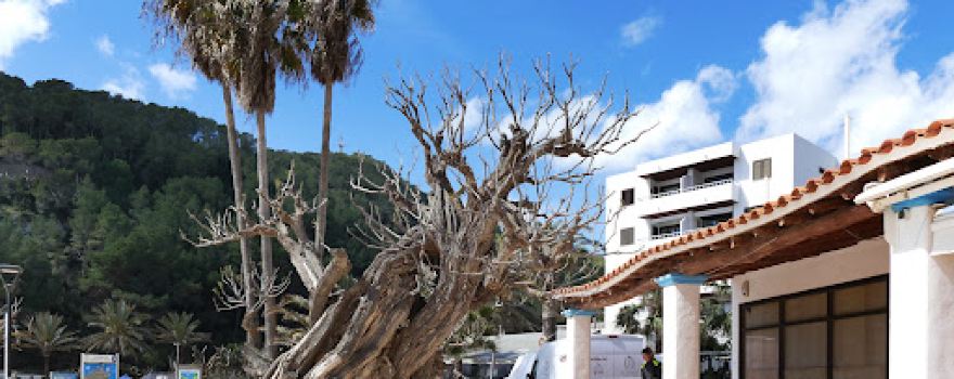 Cala de Sant Vicent