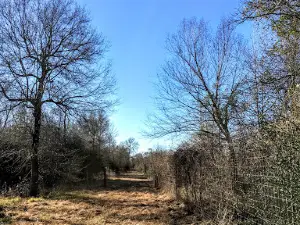 4J Ranch