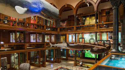 Bishop Museum