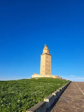 Tower of Hercules