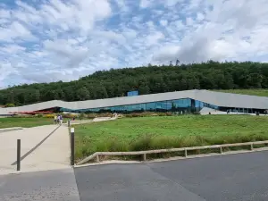 Lascaux International Center of Parietal Art