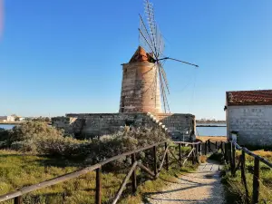 Saline of the Laguna Marsala