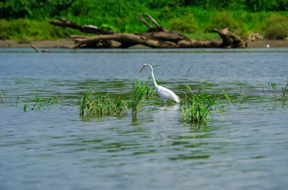 3_Carara National Park