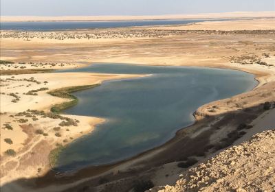 Qaroun