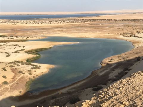 Qaroun