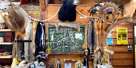 Elijah Mountain Gem Mine