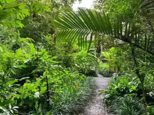 Jardin des Parfums et des Epices