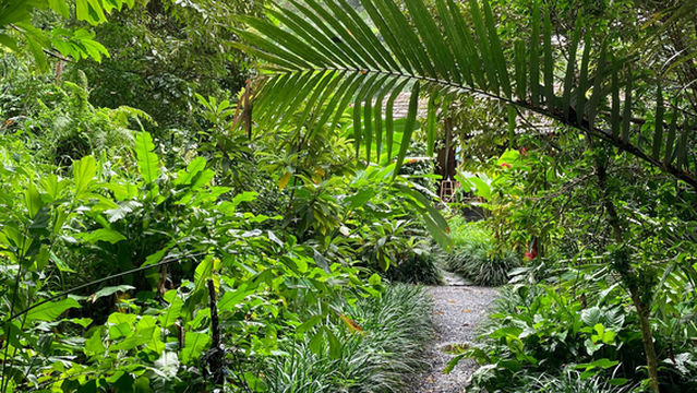 Jardin des Parfums et des Epices