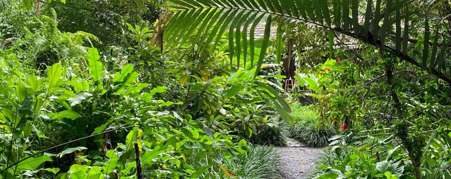 Jardin des Parfums et des Epices