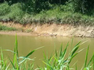 Parque Natura