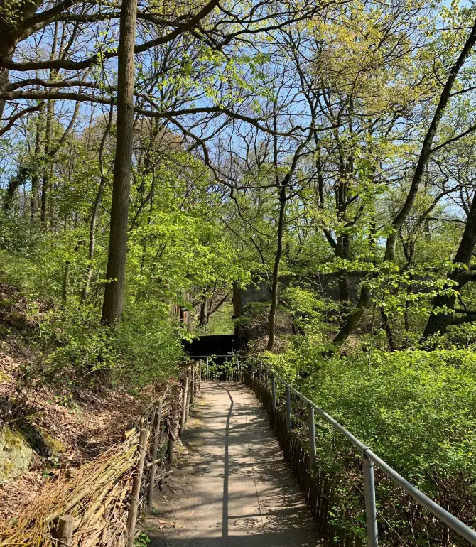 에더젬