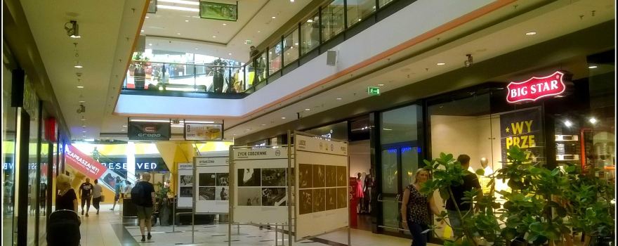 Galeria Kaskada