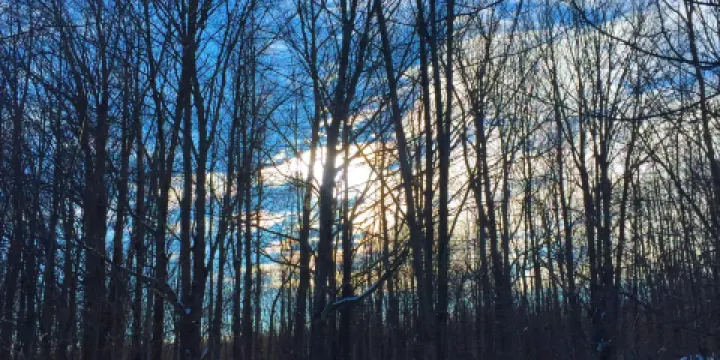 Bois de Belle-Rivière regional educational park