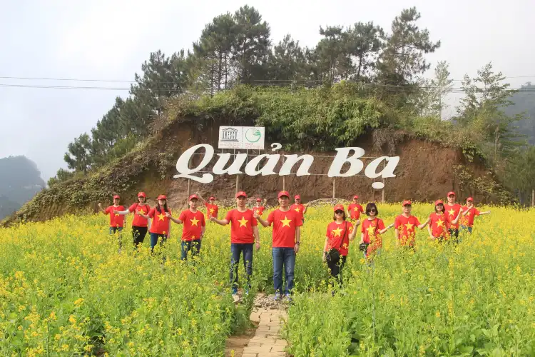 Hotels in Quan Ba District