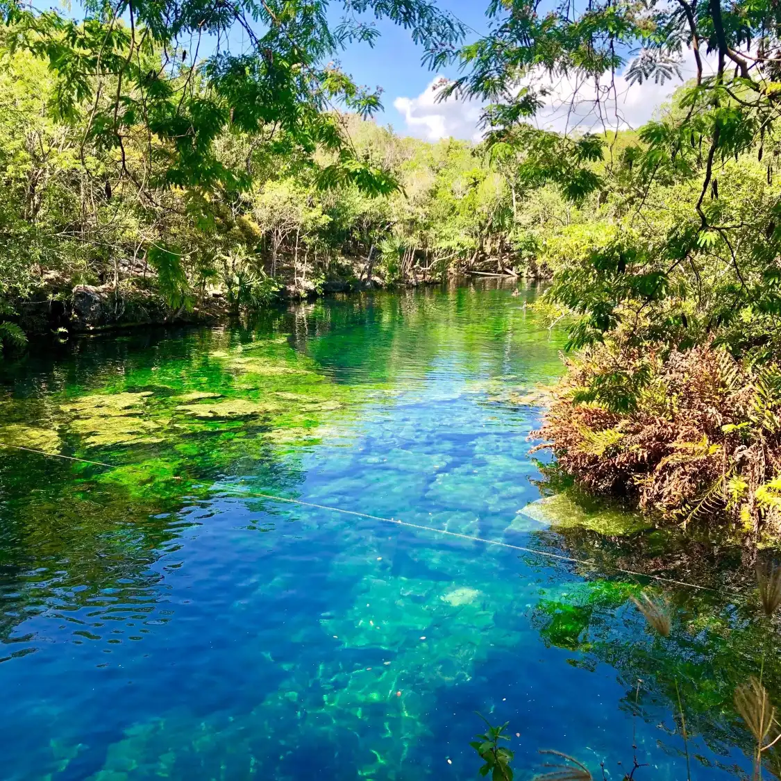 Hotels near Cenote Jardin del Eden