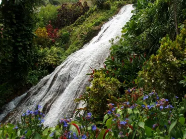 Shaw Park Gardens & Waterfalls