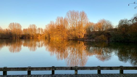 Ryton Pools Country Park