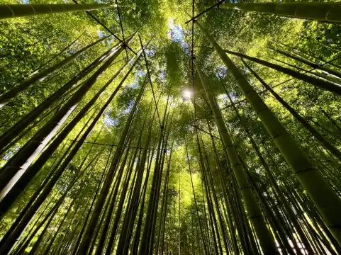 Hotel in zona Hokokuji Temple (Takedera Temple)