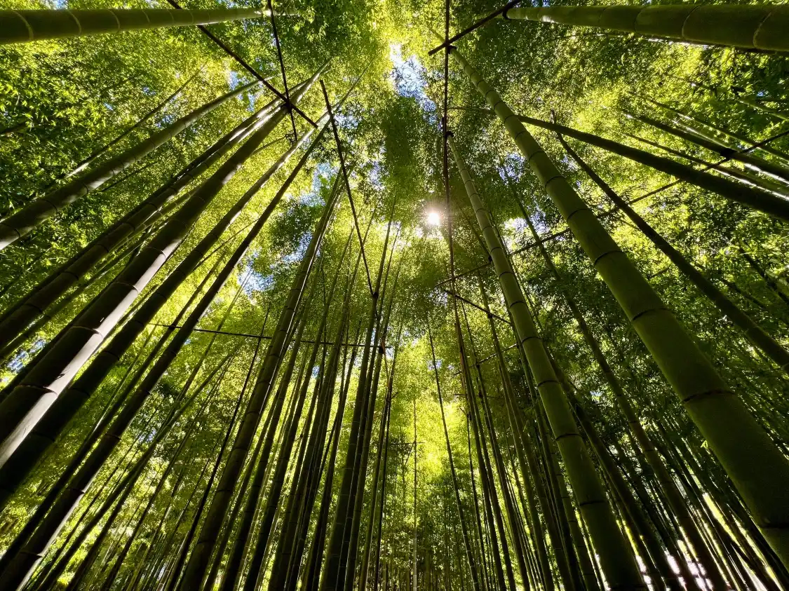 호코쿠지 주변 호텔