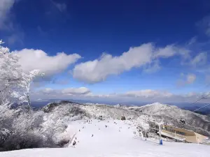 Gokase Highland Ski & Snowboard