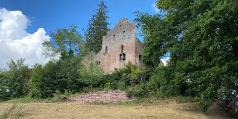 Burg Zavelstein