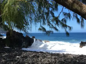 Laupāhoehoe Beach Park