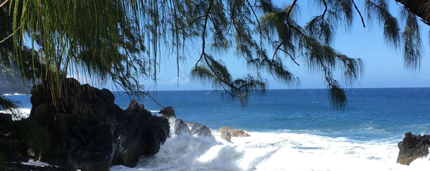 Laupāhoehoe Beach Park