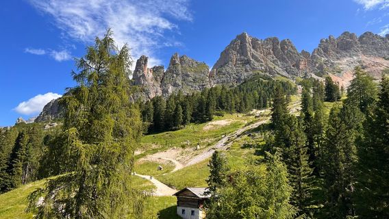 Selva di Val Gardena