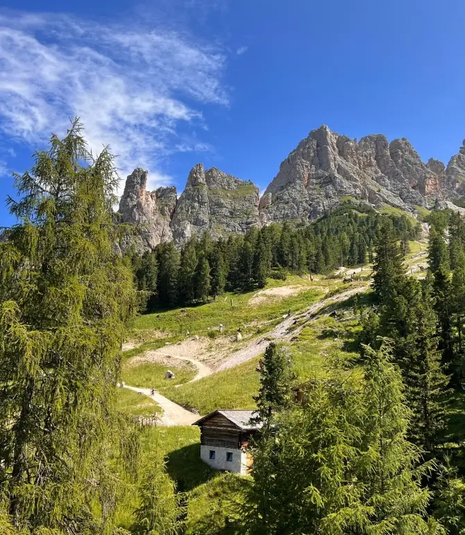 Selva di Val Gardena