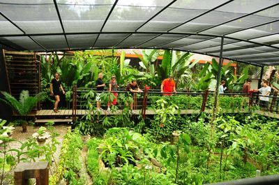 Canopy Safari