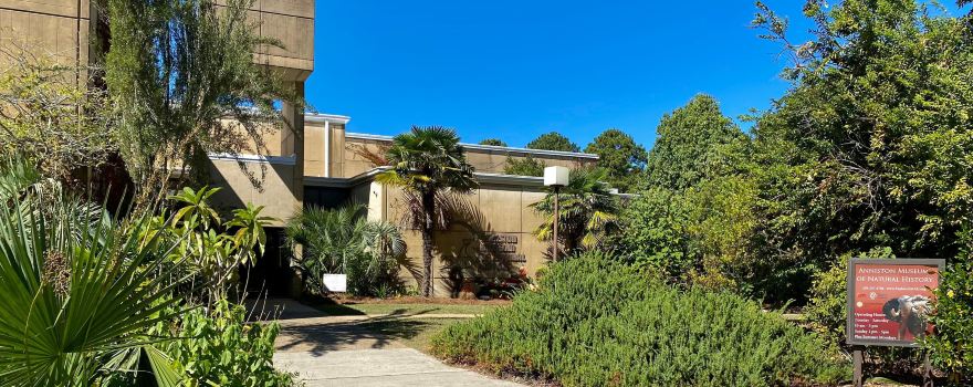 Anniston Museum of Natural History