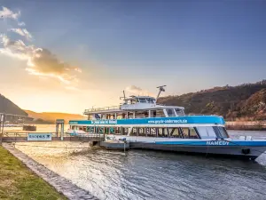 Andernach Geyser