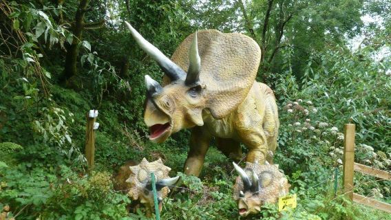 Combe Martin Wildlife & Dinosaur Park