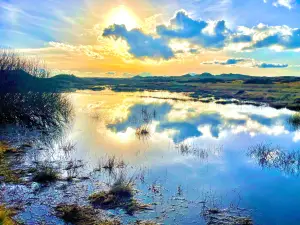 Forvie National Nature Reserve