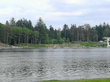 Vangen