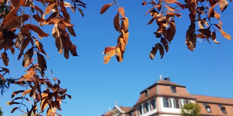 Kellereischloss （Rotes Schloß）