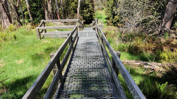 Mount Donna Buang