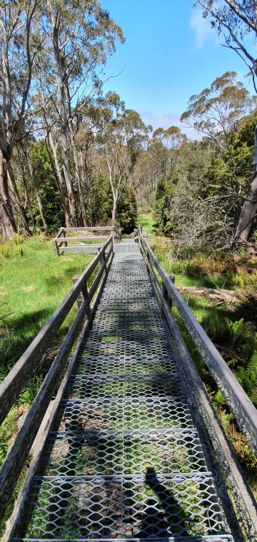 Mount Donna Buang
