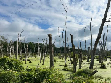 Parco nazionale delle dune dell'Indiana