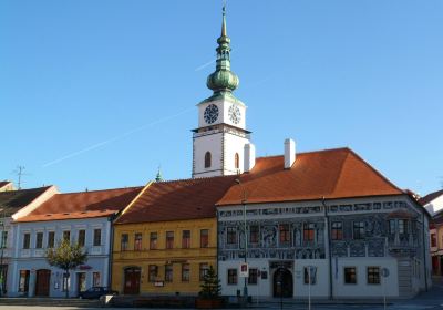 Trebic