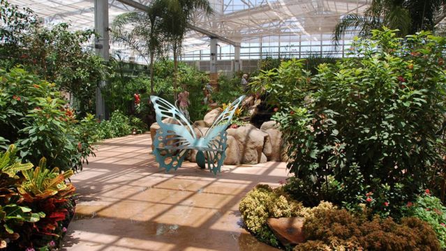 Butterfly Wonderland