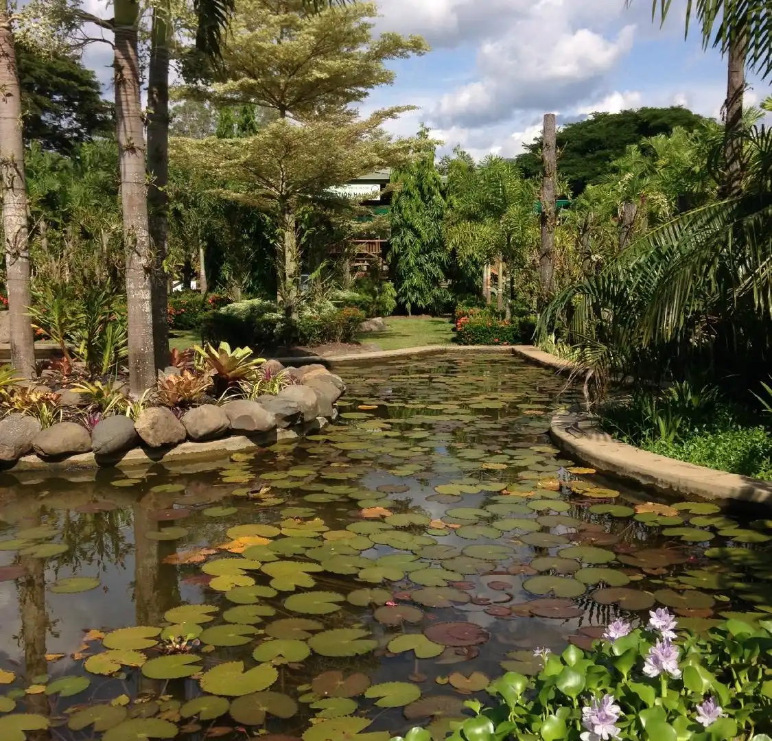 Hotels near National Orchid Garden