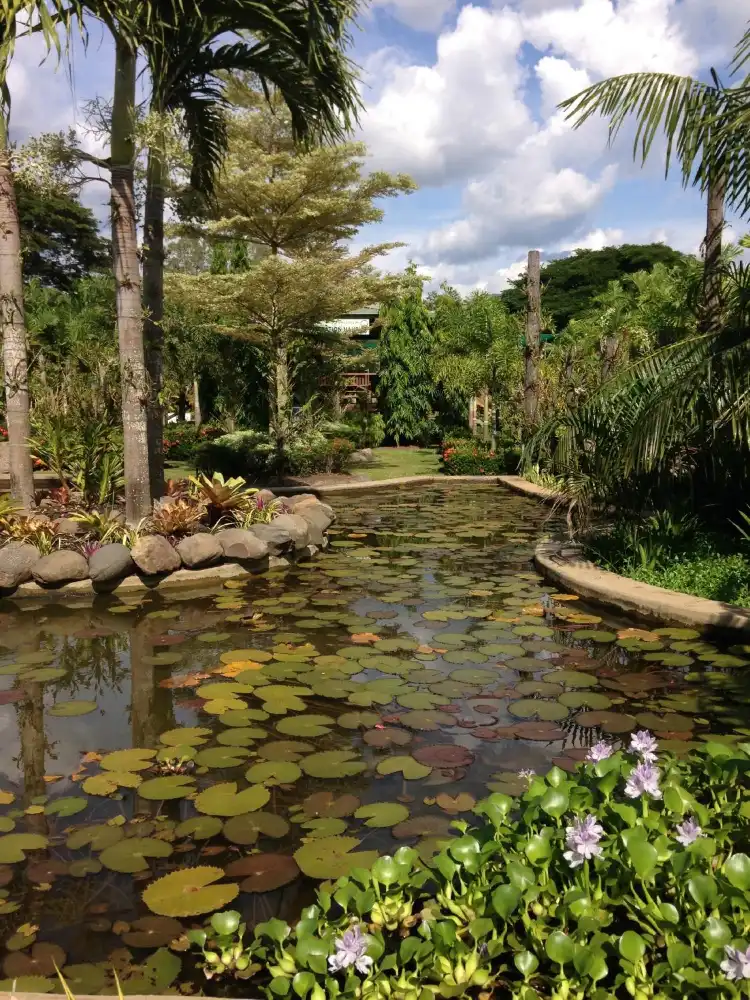 Hotels near National Orchid Garden
