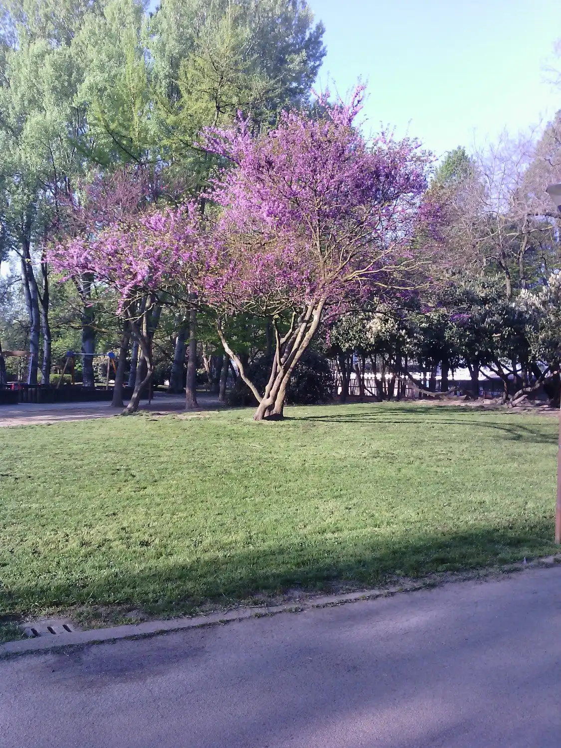 Hotel in zona Parco Piraghetto