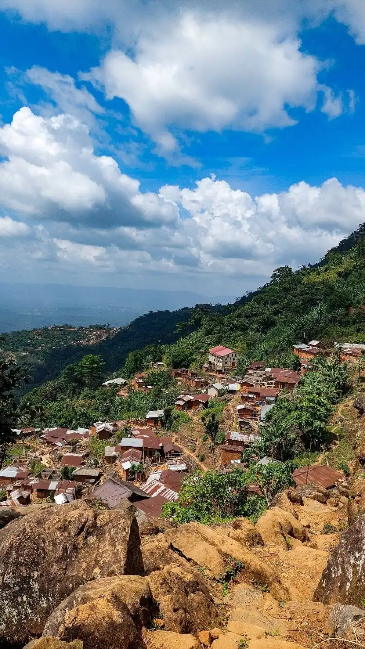 Palimé