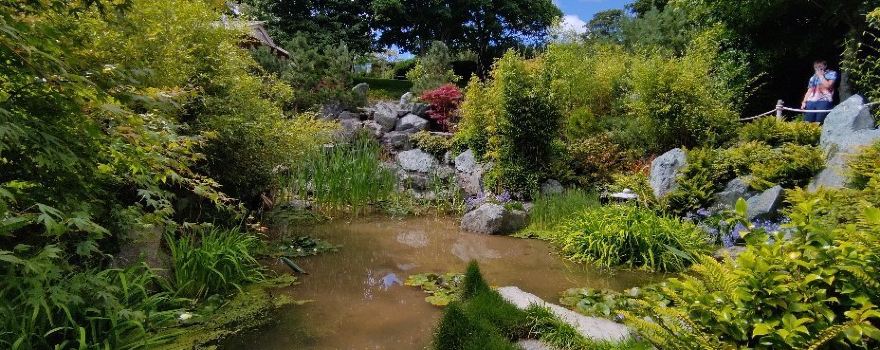 Lafcadio Hearn Japanese Gardens