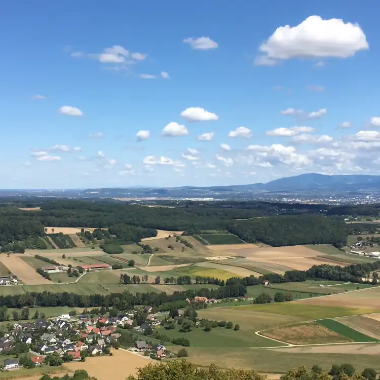 Haut-Rhin