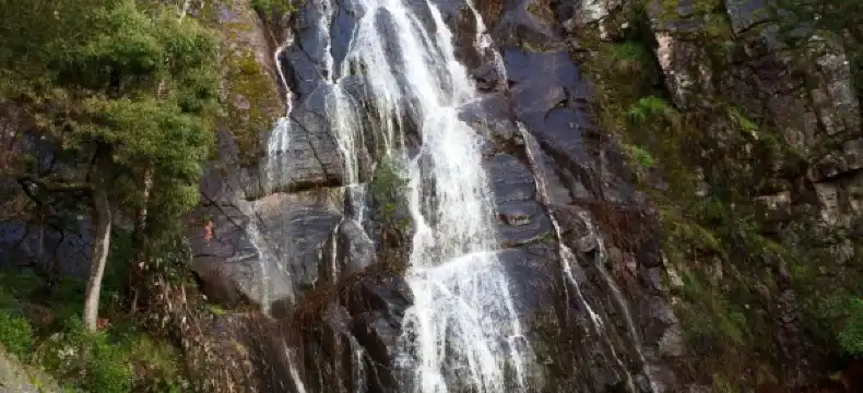 โรงแรมในอำเภอ วังสะพุง