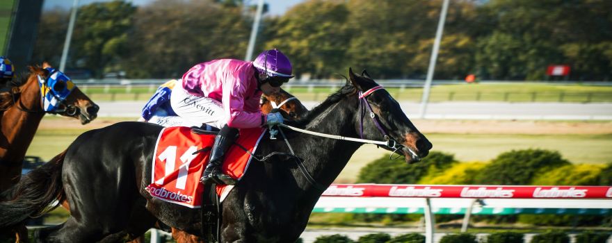 Southside Racing Cranbourne
