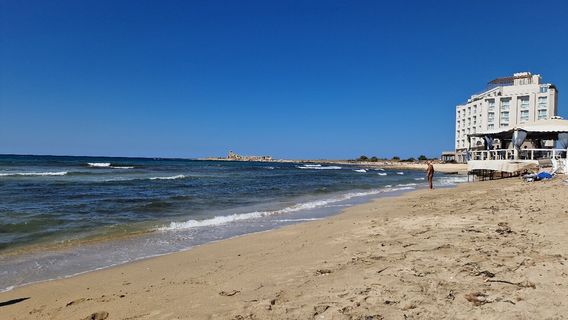 Trapani